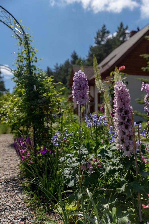 Cottage On The Hill Kielno Екстер'єр фото